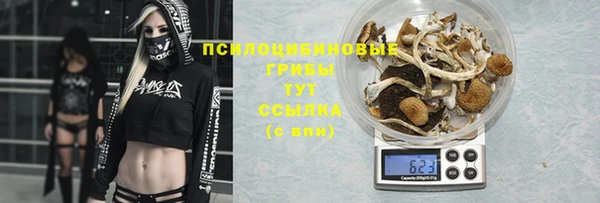 прущая мука Белокуриха